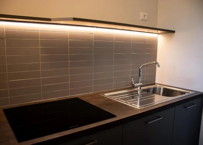 아파트호텔 Vignol 4*